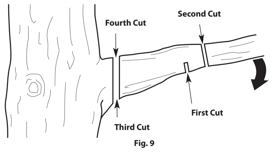 TrimmerPlus TPP720 Pole Saw Attachment - fig 7
