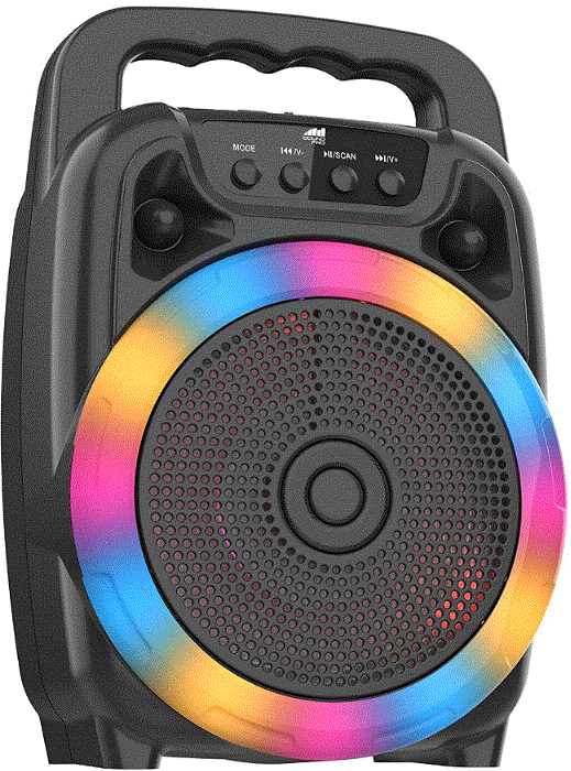 SOUND-PRO-NDS-6009-Portable-6-5-Inch-Bluetooth-Party-Speaker-Product