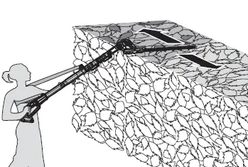 WORX WG252E 20V Cordless Pole Hedge Trimmer 14