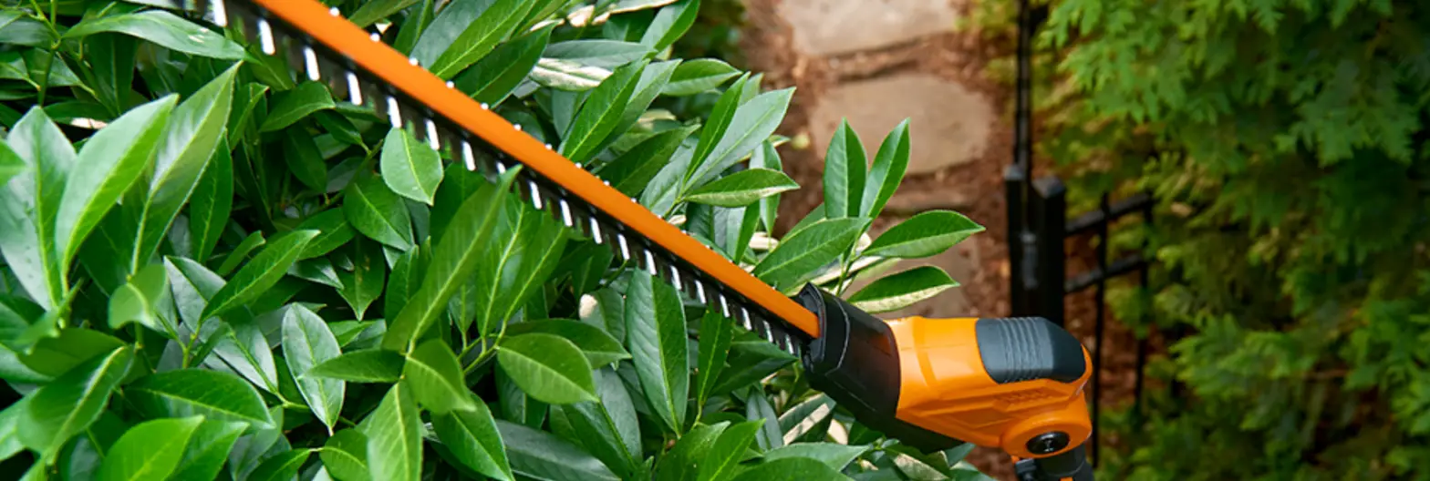 Worx Wg252e 20v Cordless Pole Hedge Trimmer Instruction Manual