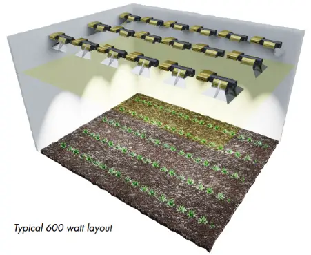 TheClimateFactory GL-SYS-1000DIM DIMLUX Expert Series MKII - HIGH