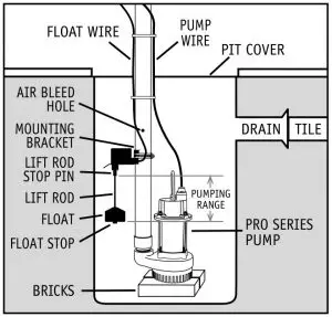Installing the Vertical Float Switch