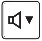 Button Icon