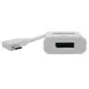 TRIPP-LITE U444-06N-DP-RA Right USB-C to Displayport 4K 60Hz Adapter - fig2