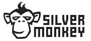 silver-logo