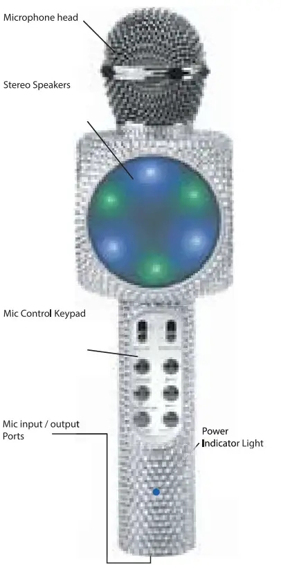 WIRELESS EXPRESS WE SA BLING Sing Along Bling Bluetooth Karaoke Microphone - figure 3
