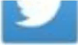Twitter Icon