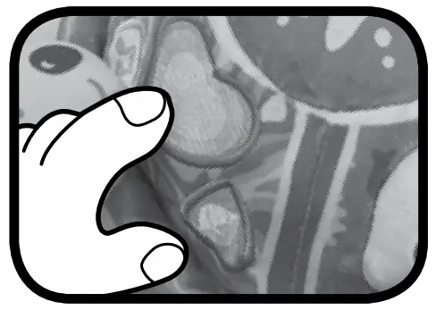 vtech 554803 Soft Discovery Turtle - Heart Button