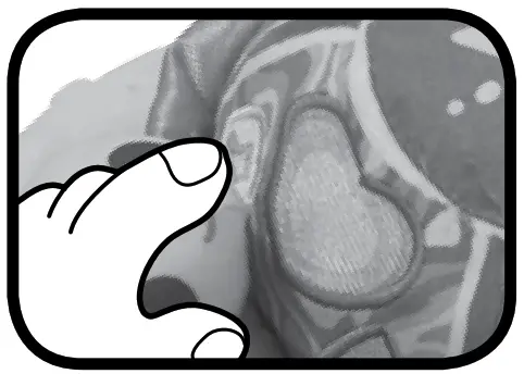 vtech 554803 Soft Discovery Turtle - Music Button