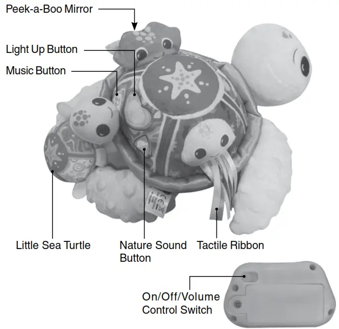 vtech 554803 Soft Discovery Turtle - fig3