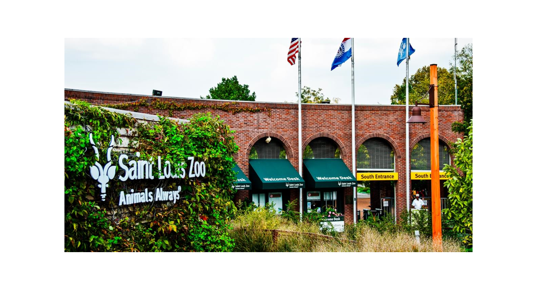 Saint Louis Zoo 2022-01-057 Bones And Meat Rfp 2022 User Manual