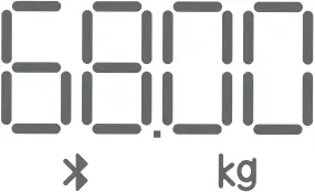 RENPHO RA019 - Display 1