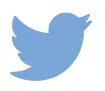 Twitter Icon