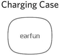 CHARGING CASE