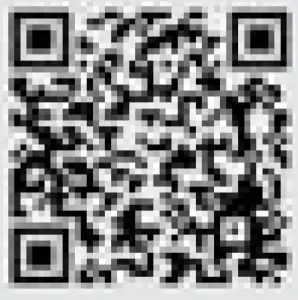 Shenzhen Do Intelligent Technology ID217G Smart Watch - QR1