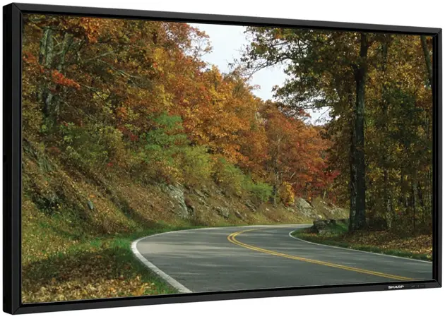 SHARP HY501 LCD Monitor-