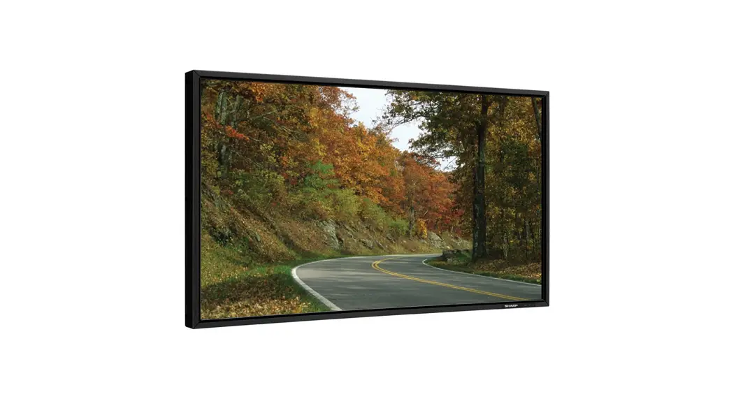 Sharp Pn -hy501 Lcd Monitor Instructions