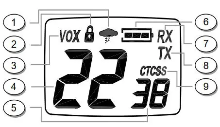 FIG 1 LCD DISPLAY.JPG