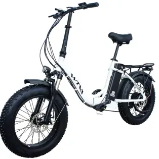VTUVIA V-SN100 Electric Bike-fig1