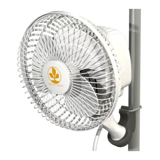 Secret JarDIN MFO20 MONKEY FAN