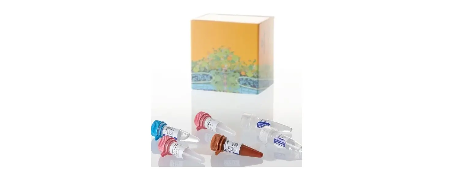 Promega Am2140 Gotaq Enviro Pmmov Quant Kit User Manual Promega Am2140 Gotaq Enviro Pmmov Quant Kit User Manual