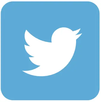 Twitter Icon