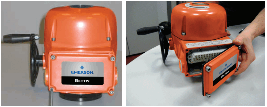 EMERSON Bettis SCE300 OM3 Local Interface Module - FIG 3