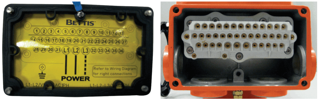 EMERSON Bettis SCE300 OM3 Local Interface Module - FIG 4
