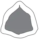 BRABER EQUIPMENT BE-SBS5054L Lightweight Snow Blower - sambol 31