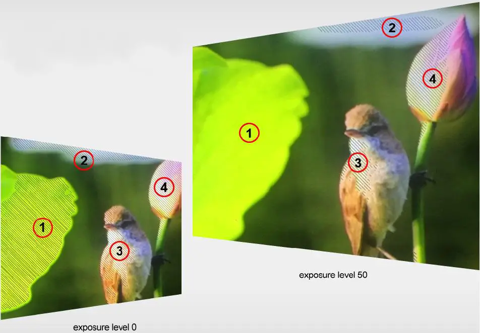 LILLIPUT BM150-4KS 31 5 Inch 4K Broadcast Director Monitor - MENU SETTING 4