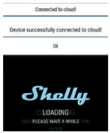 Shelly E00D Smart WiFi RGB plus White Light fig 14