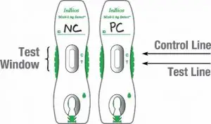 FIG 16 Positive and Negative Control Testing