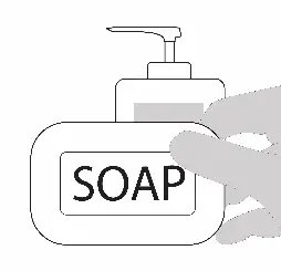 FIG 2 Sample Collection and Handling