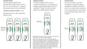FIG 30 Interpretation of Results