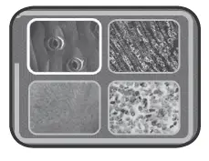 Leapfrog-Magic-Adventures-Microscope-21