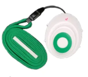 Detailed Instruction