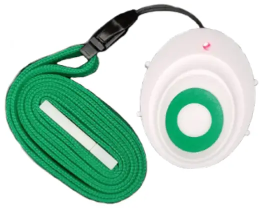 Detailed Instruction