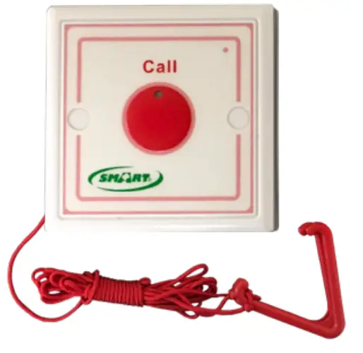 Detailed Instruction