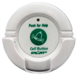 Detailed Instruction