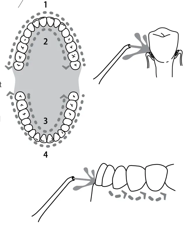 easyhome AOW03 Water Dental Flosser Cordless for Teeth - fig 9