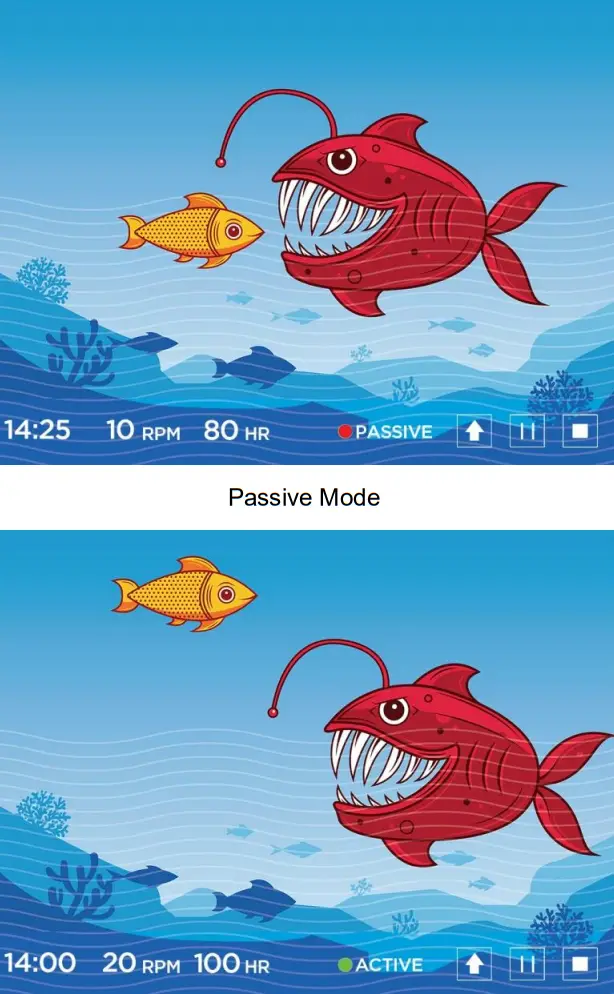Richmar DQAPT APT Performer - Fig 11
