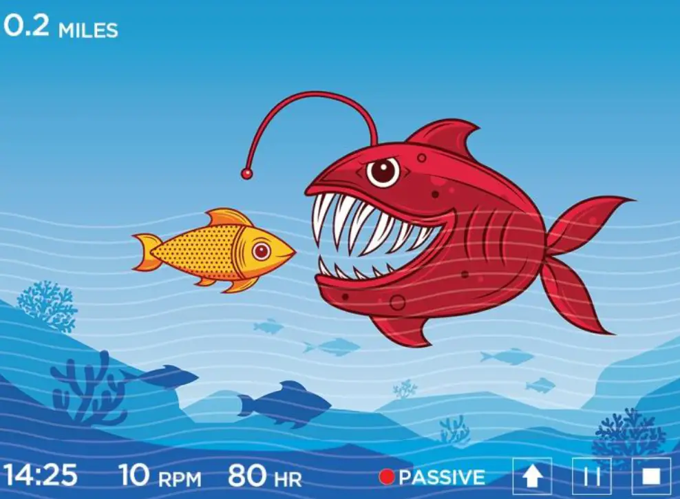 Richmar DQAPT APT Performer - Fig 13