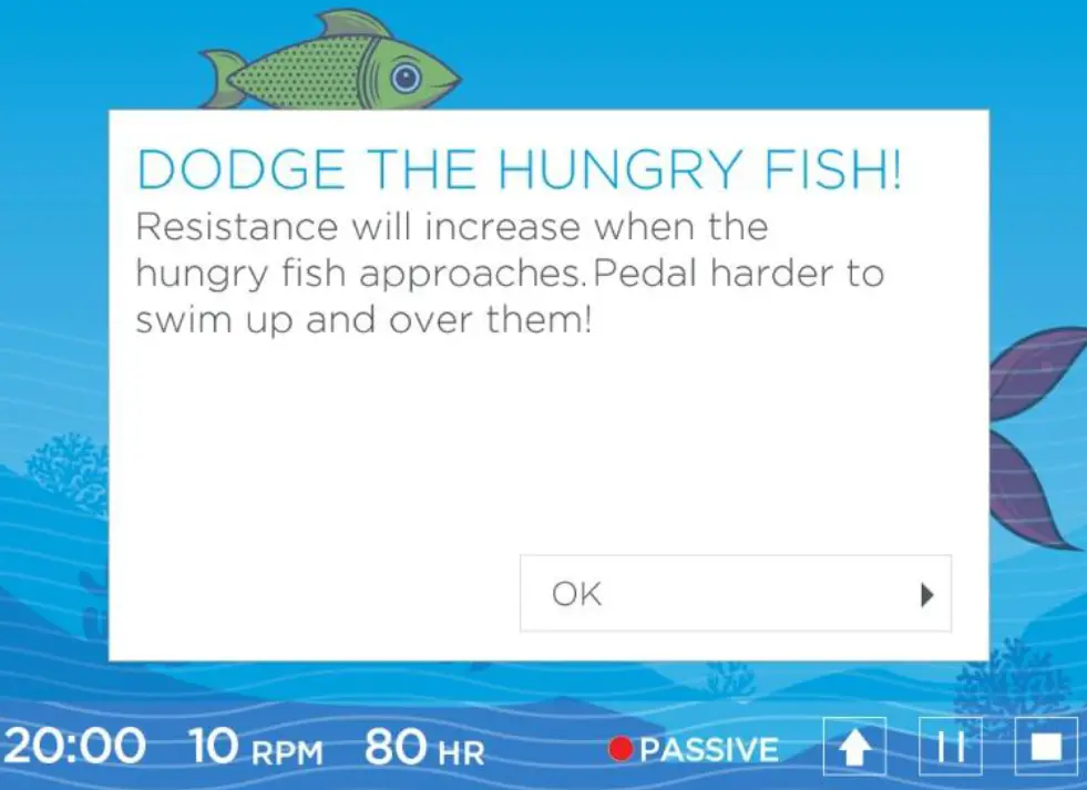 Richmar DQAPT APT Performer - Fig 9