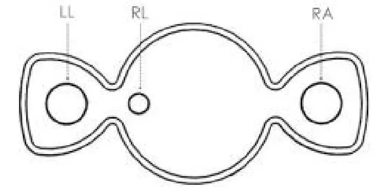 Shenzhen Yasun Technology YS MBE01 Heart Rate Monitor - BackSide