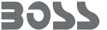 BOSS-LOGO