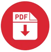 PDF icon