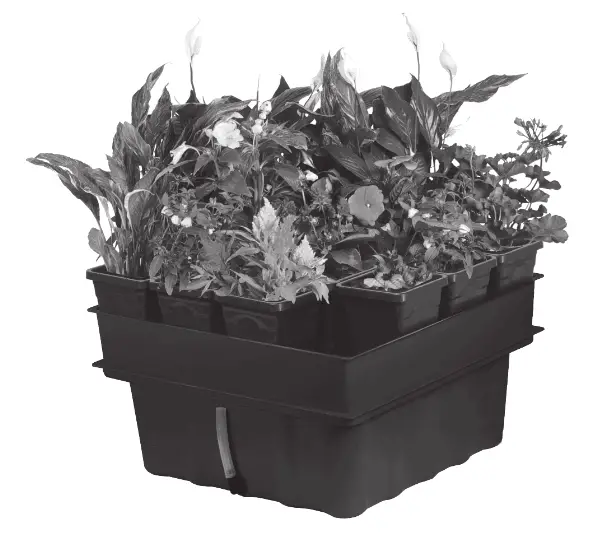 MEGAGARDEN (HYDROPONIC SYSTEM) 1