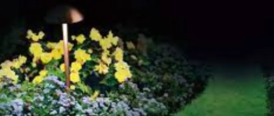 Collingwood Sl250 Aluminium Base Plate Accessory Instructions