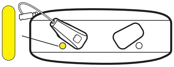 WIDEX WPT103 sRIC Charger - Charging indicators