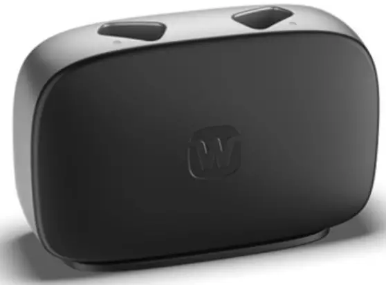 WIDEX WPT103 sRIC Charger